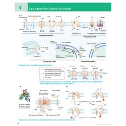 Atlas du vivant - Caractéristiques, évolution, classification - 2ème édition