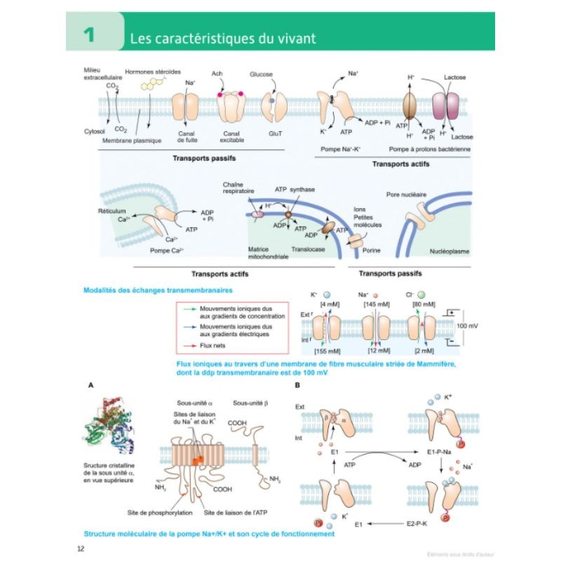 Atlas du vivant - Caractéristiques, évolution, classification - 2ème édition