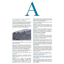 Dictionnaire de Géologie - 9ème édition