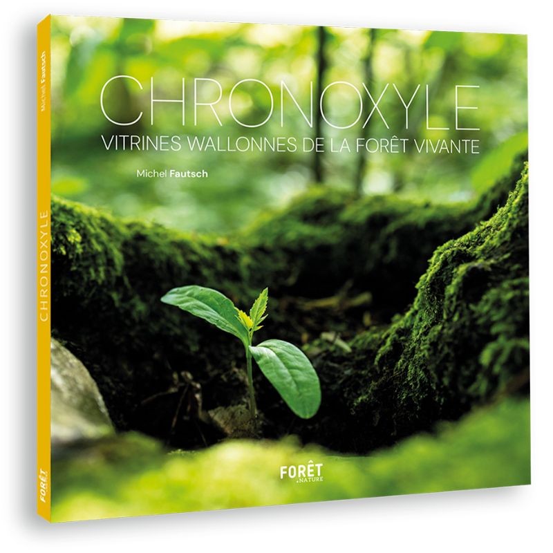 Chronoxyle - Vitrines wallonnes de la forêt vivante