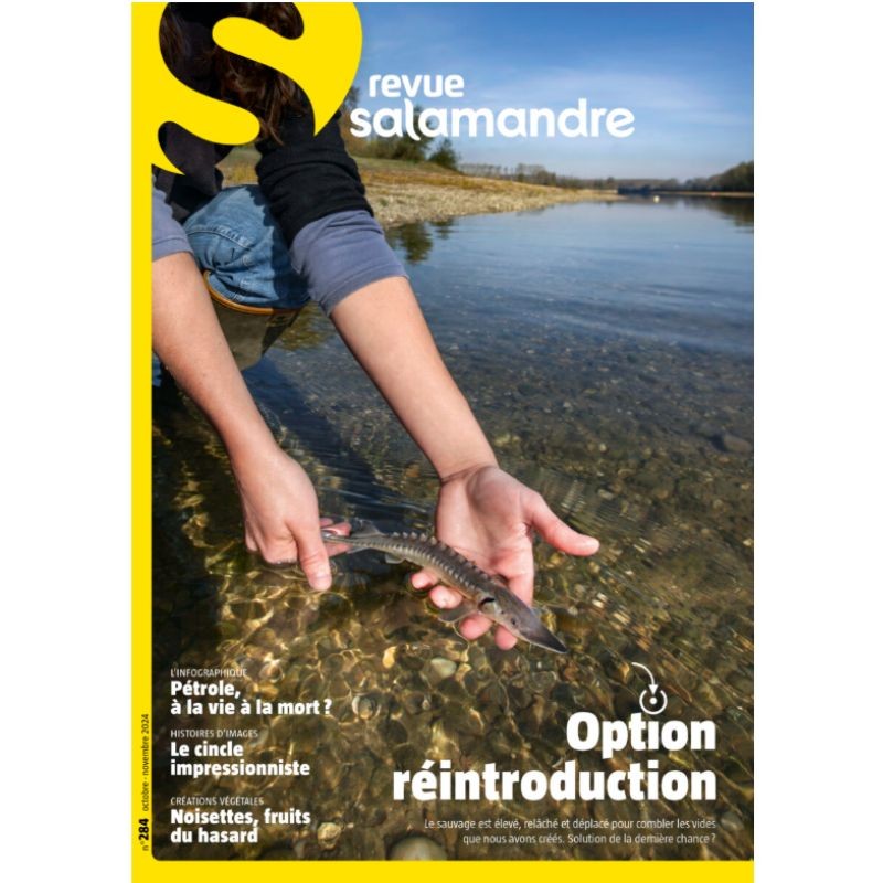 Option réintroduction - Revue La Salamandre N°284