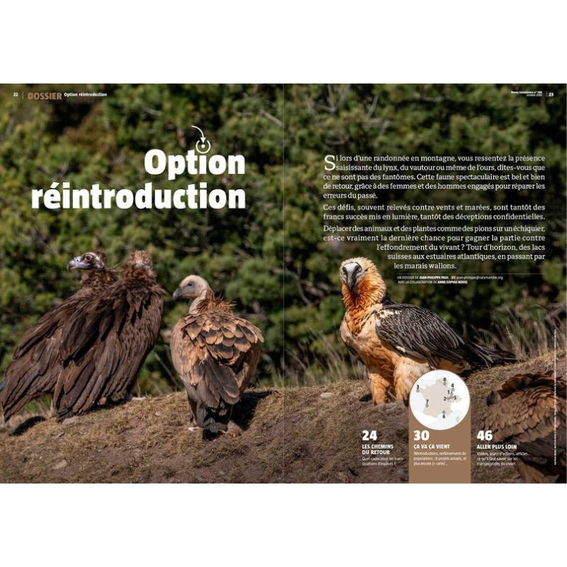 Option réintroduction - Revue La Salamandre N°284 Option réintroduction - Revue La Salamandre N°284
