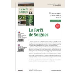 La forêt de Soignes - Sous les feuilles, l’histoire - 20 promenades pour se mettre au vert La forêt de Soignes - Sous les feuilles, l’histoire - 20 promenades pour se mettre au vert