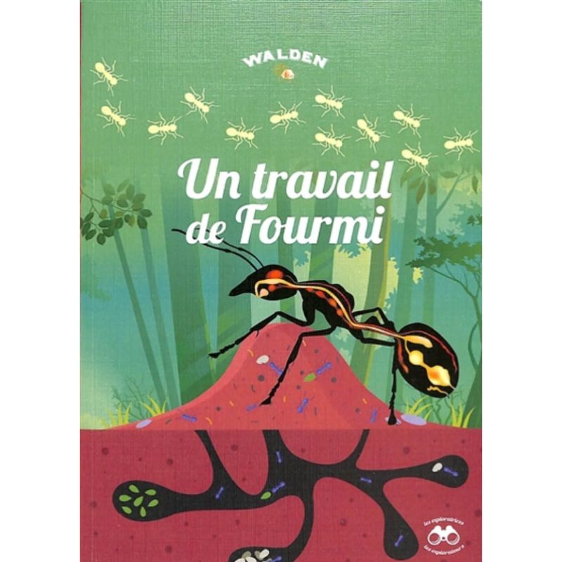 Un travail de Fourmi - Les petits explorateurs