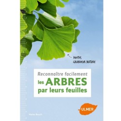 Reconnaître facilement les arbres par leurs feuilles - Photos grandeur nature