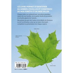 Reconnaître facilement les arbres par leurs feuilles - Photos grandeur nature