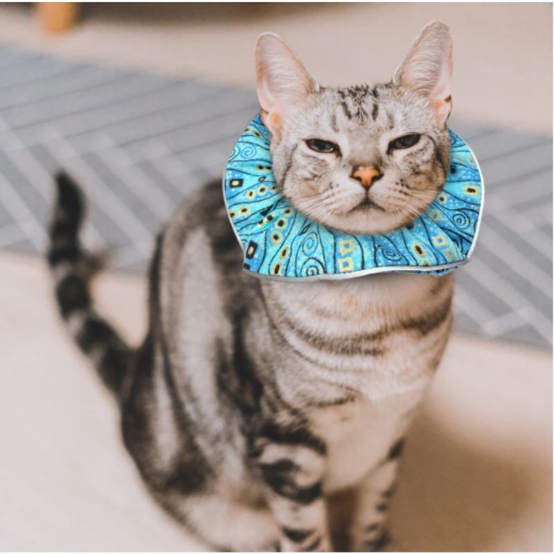 Collerette Birdsbesafe - Rayures perlées