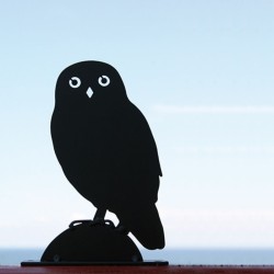 Silhouette Chouette Chevêche Silhouette Chouette Chevêche