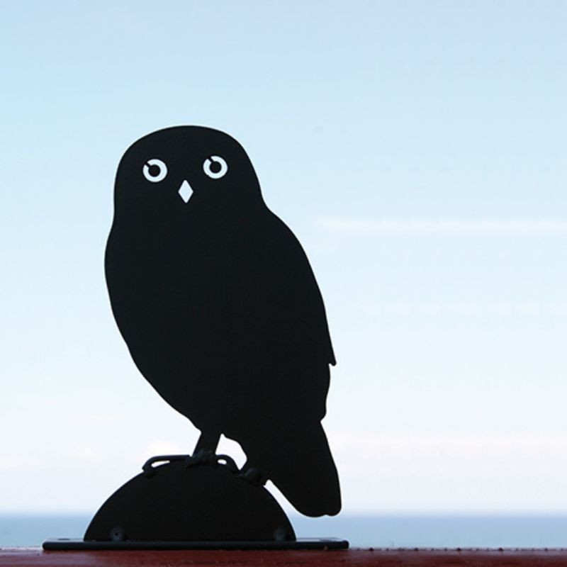 Silhouette Chouette Chevêche Silhouette Chouette Chevêche