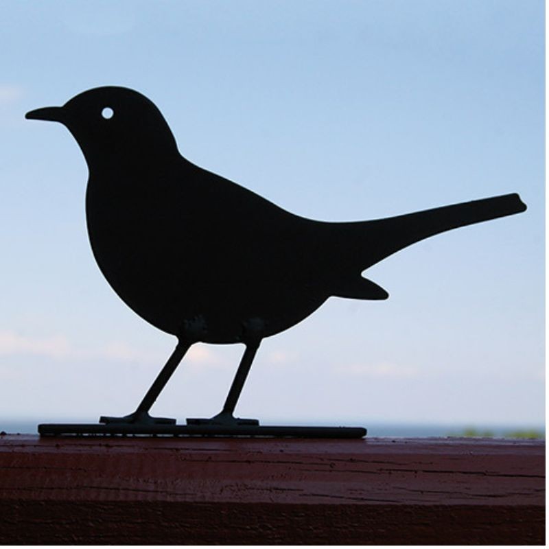 Silhouette Merle Noir Silhouette Merle Noir