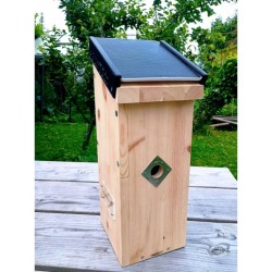 Nichoir Extraordinaire RTBF/LRBPO avec panneau solaire intégré - Cheap T'Chip - Bois