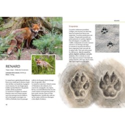 Reconnaître facilement les traces d'animaux - Traces grande nature Reconnaître facilement les traces d'animaux - Traces grande nature