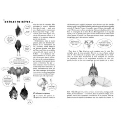 La Hulotte N°117 - Le Petit Fer-à-Cheval - 2/3