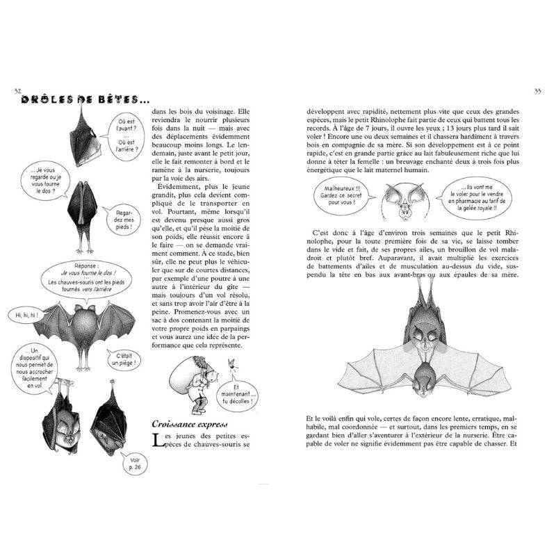La Hulotte N°117 - Le Petit Fer-à-Cheval - 2/3