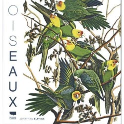 Oiseaux Oiseaux