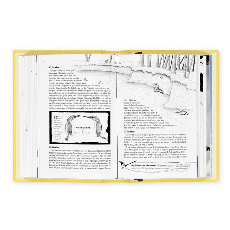 La Hulotte - Reliure Prairie – Citron