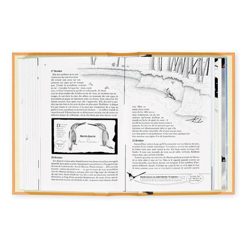 La Hulotte - Reliure Prairie – Jaune d’or