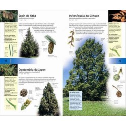 350 arbres et arbustes 350 arbres et arbustes