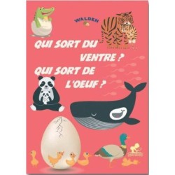 Qui sort du ventre qui sort de l'oeuf - Les petits explorateurs