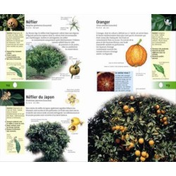 350 arbres et arbustes 350 arbres et arbustes