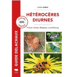 Hétérocères diurnes - France, Suisse, Belgique, Luxembourg