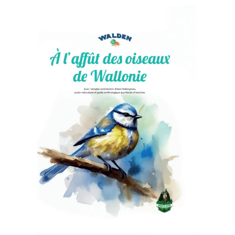 A l'affût des oiseaux de Wallonie