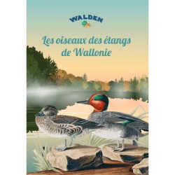 Les oiseaux des étangs de Wallonie