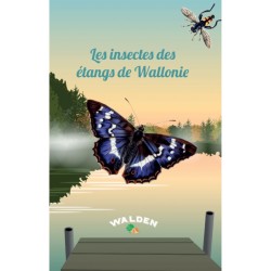 Les insectes des étangs de Wallonie