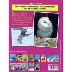 Les Chouettes &amp; Hiboux - P'tit curieux