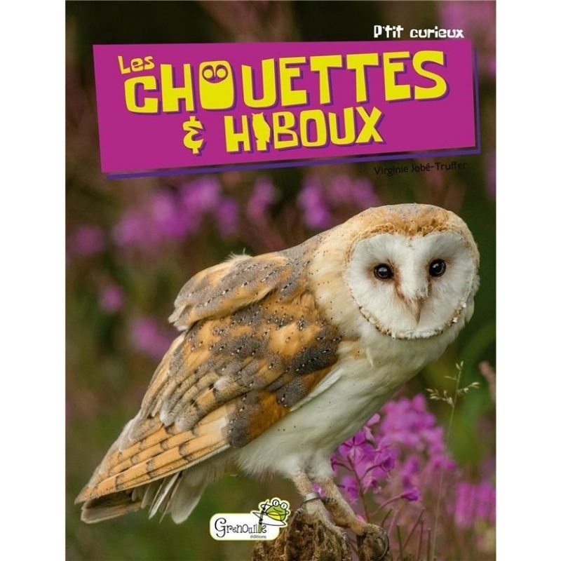 Les Chouettes & Hiboux - P'tit curieux