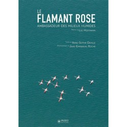 Le flamant rose - Ambassadeur des milieux humides