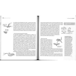 Cohabiter avec les animaux - Manuel pas bête pour aider la faune sauvage