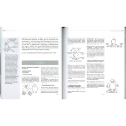 Cohabiter avec les animaux - Manuel pas bête pour aider la faune sauvage