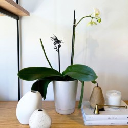 Tuteur pour plantes Abeille domestique 70cm - Metalbird Tuteur pour plantes Abeille domestique 70cm - Metalbird