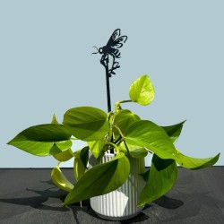 Tuteur pour plantes Abeille domestique 70cm - Metalbird