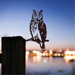 Hibou Moyen-Duc - Metalbird