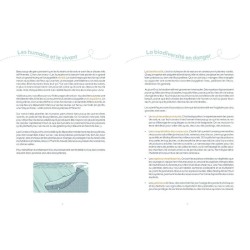 Destination littoral - Mon cahier de jeux des écosystèmes Destination littoral - Mon cahier de jeux des écosystèmes