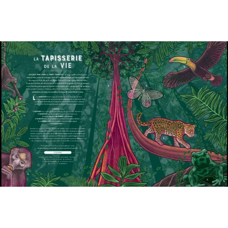 LIFE - Les trésors du vivant LIFE - Les trésors du vivant