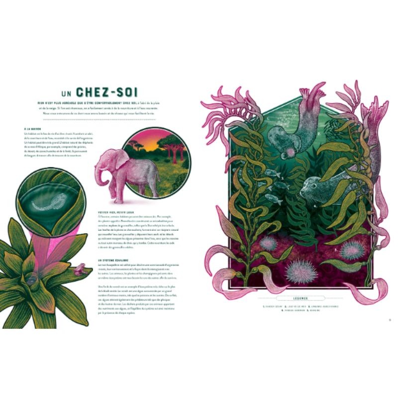 LIFE - Les trésors du vivant LIFE - Les trésors du vivant