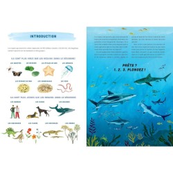 Requins - Une histoire mordante Requins - Une histoire mordante