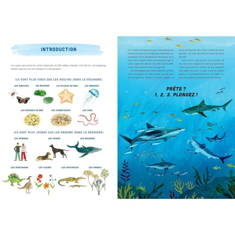 Requins - Une histoire mordante Requins - Une histoire mordante