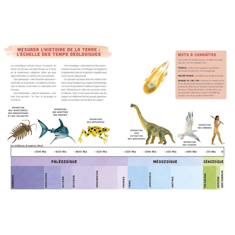 Requins - Une histoire mordante Requins - Une histoire mordante