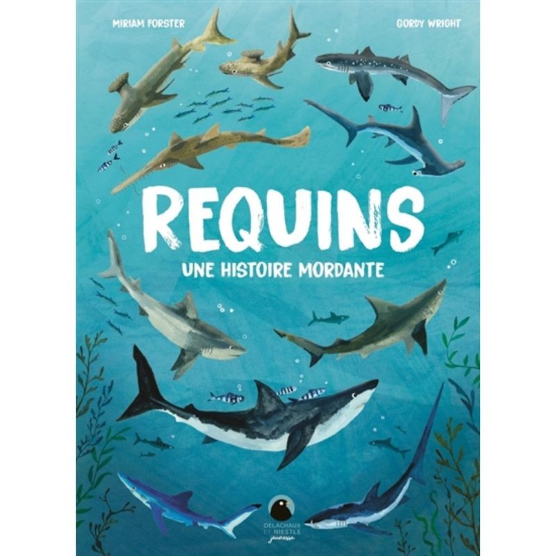 Requins - Une histoire mordante