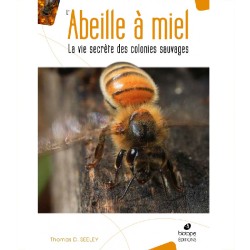 L'abeille à miel - La vie secrète des colonies sauvages