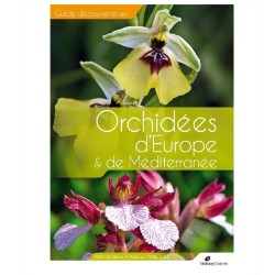 Orchidées d'Europe et de Méditerranée