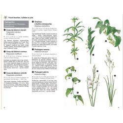 Les plantes par la couleur - Fleurs, graminées, arbres et arbustes - Nouvelle Edition Les plantes par la couleur - Fleurs, graminées, arbres et arbustes - Nouvelle Edition