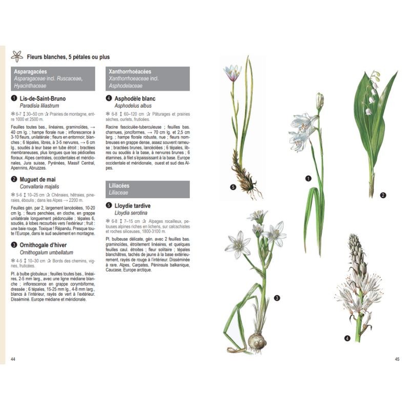 Les plantes par la couleur - Fleurs, graminées, arbres et arbustes - Nouvelle Edition Les plantes par la couleur - Fleurs, graminées, arbres et arbustes - Nouvelle Edition