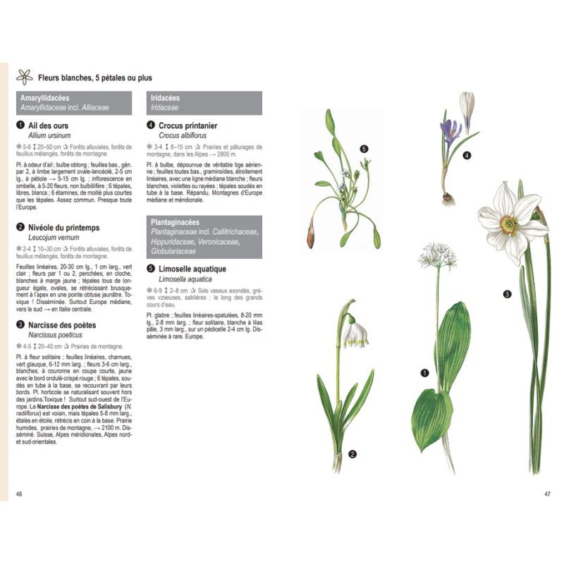 Les plantes par la couleur - Fleurs, graminées, arbres et arbustes - Nouvelle Edition Les plantes par la couleur - Fleurs, graminées, arbres et arbustes - Nouvelle Edition
