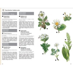 Les plantes par la couleur - Fleurs, graminées, arbres et arbustes - Nouvelle Edition Les plantes par la couleur - Fleurs, graminées, arbres et arbustes - Nouvelle Edition