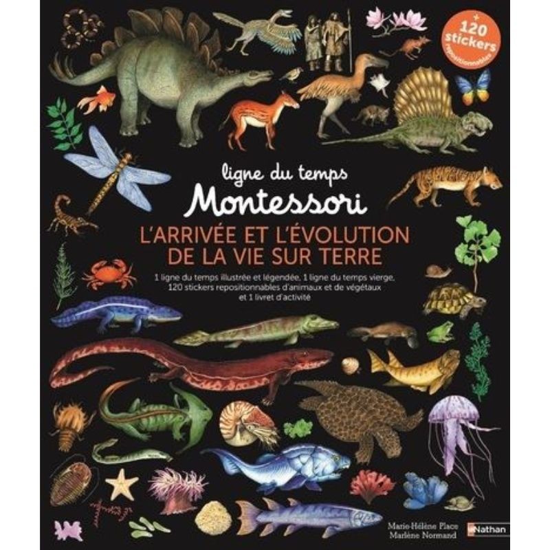 Ligne du temps Montessori - L'arrivée et l'évolution de la vie sur terre - 2 grandes frises Montessori + stickers